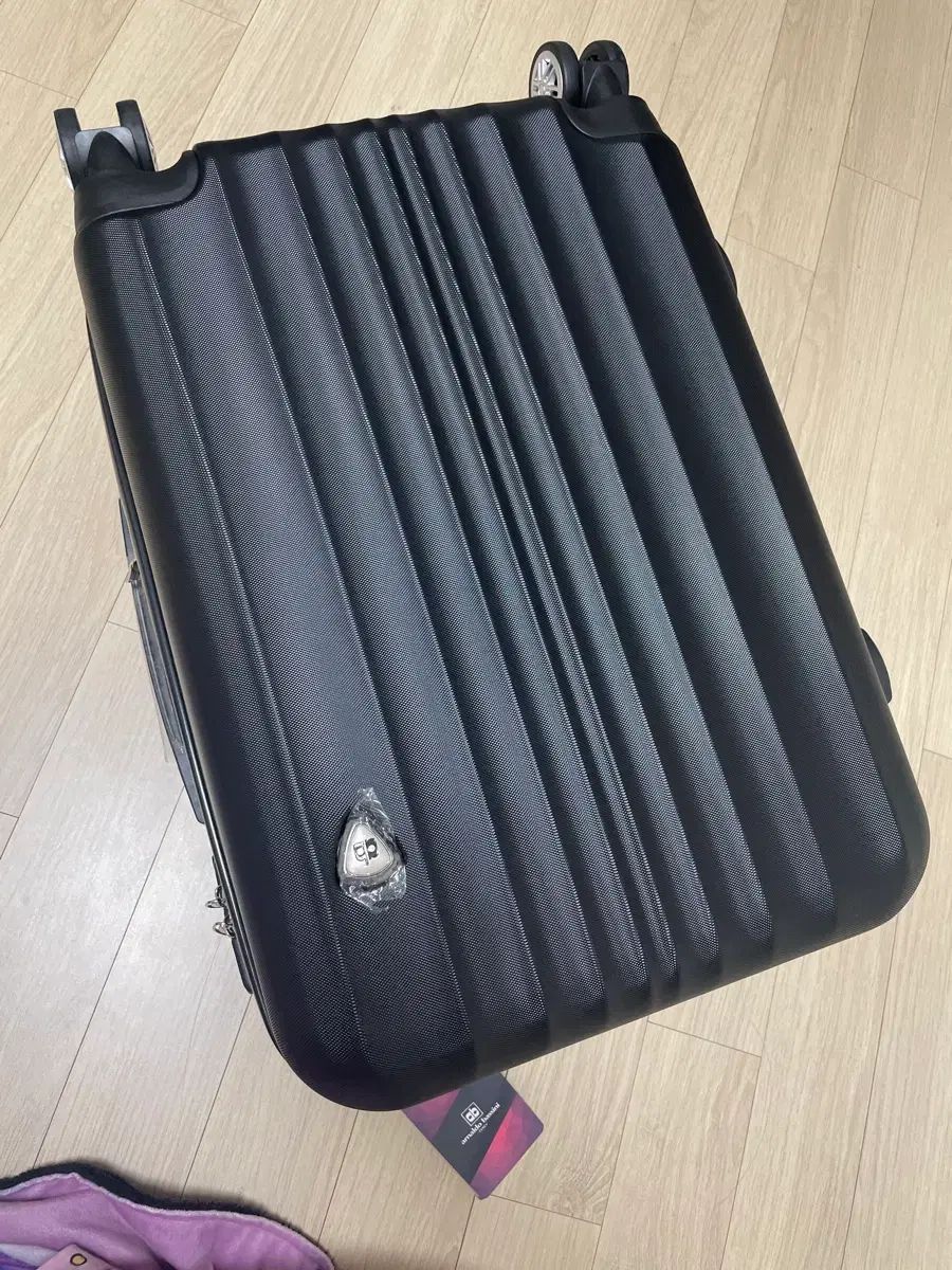 アナルド バッシニ 20インチ キャリアー 機内用 ♥