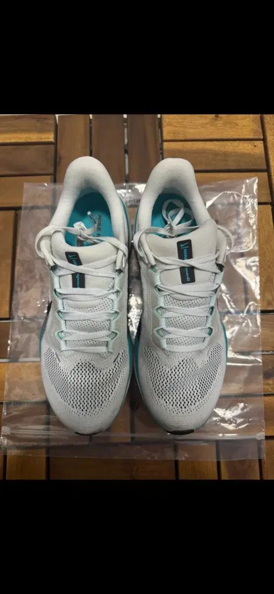 ナイキ ランニングシューズ ペガサス41 260