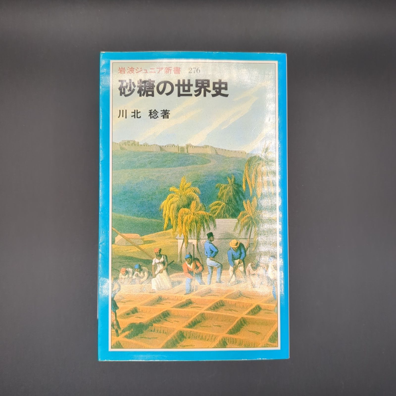 砂糖の世界史 / 川北 稔 / 9784005002764 - メルカリ