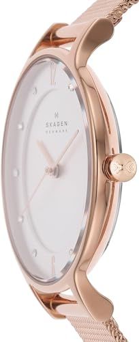 スカーゲン 腕時計 SKW 2151 レディース ローズゴールド 並行輸入品 J