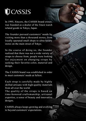  CASSIS カシス 時計バンド PD-BUCKLE ピーディーバックル ミラー CA PDSSM 018 18 mm 交換用工具付きJ その他 時計