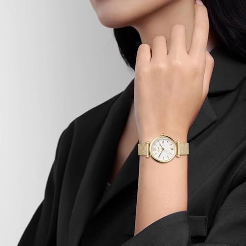 アナログ表示 ステンレスバンド