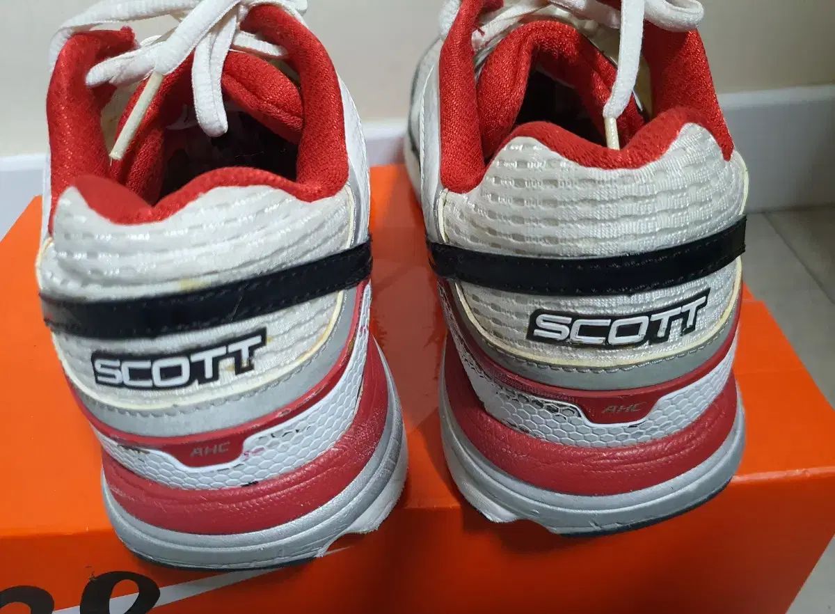 トライアスロン Triathron