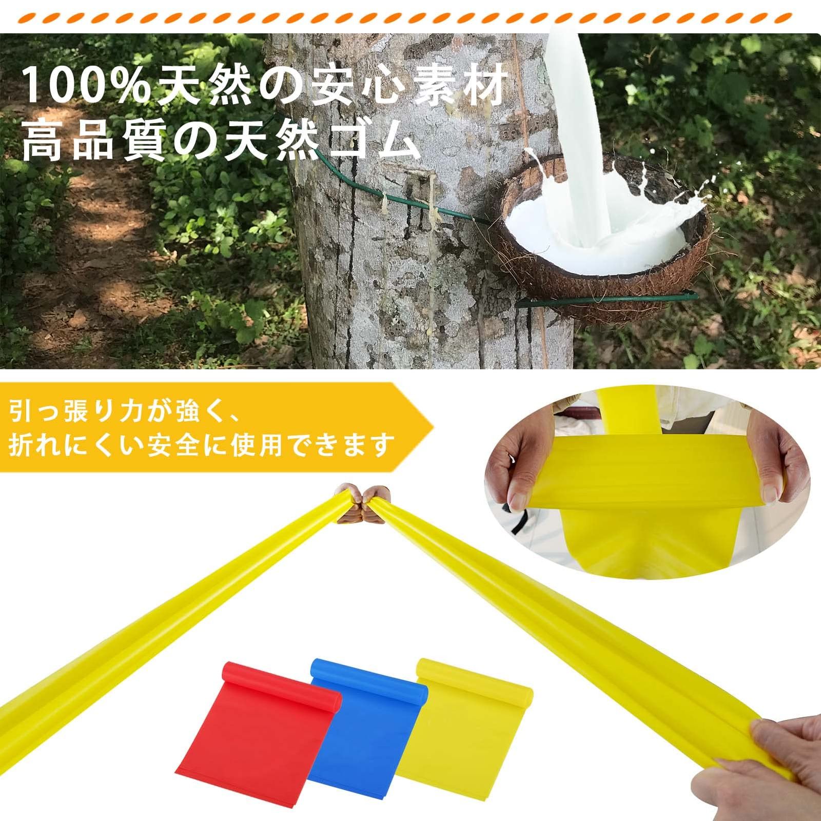 新品 roseddy トレーニングチューブ チューブトレーニング