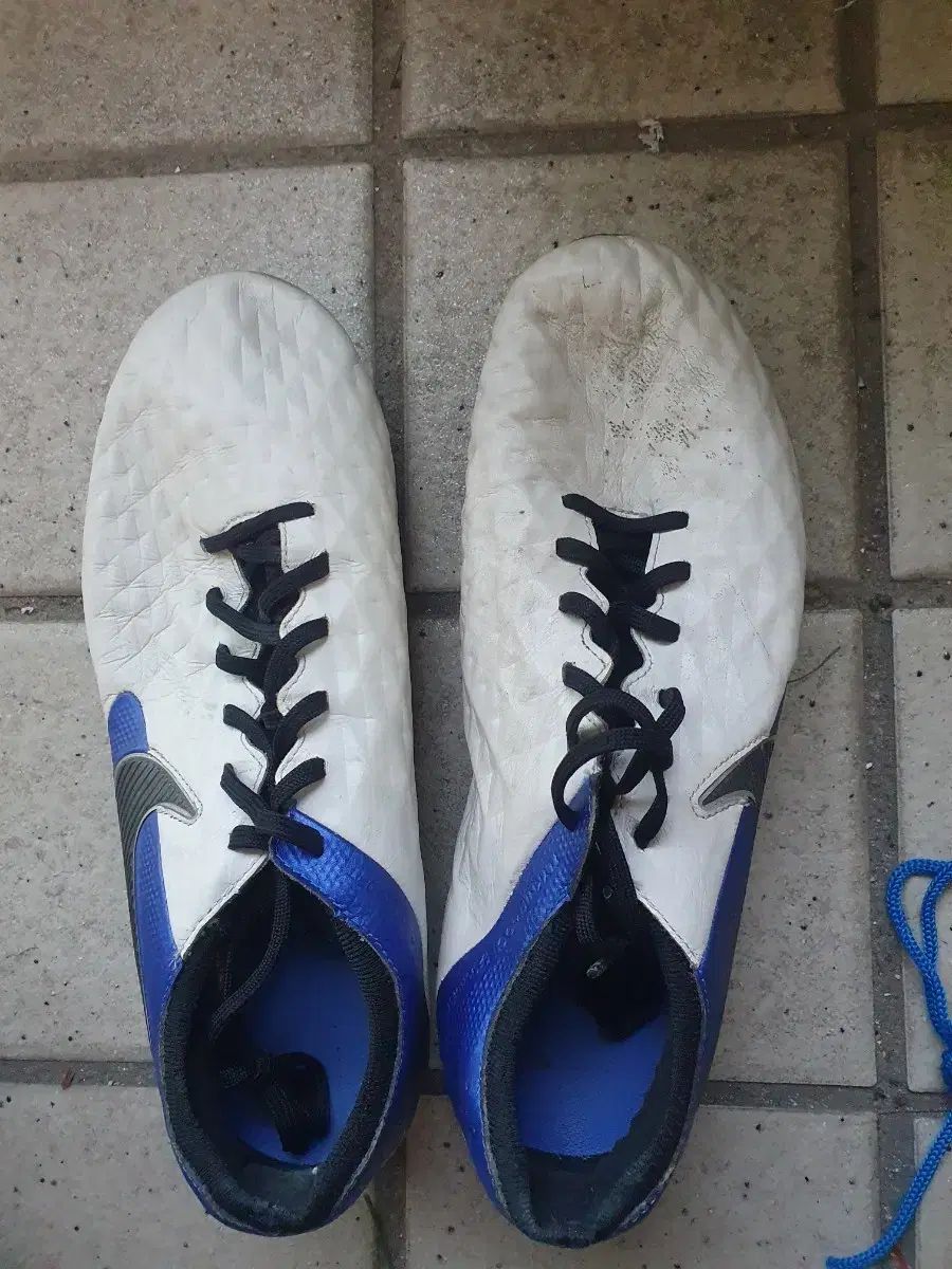 ティエンポ レジェンド9 エリート HG JP 265