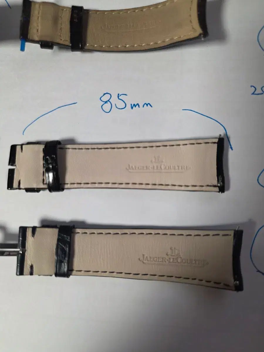 スプリングラブ ♥