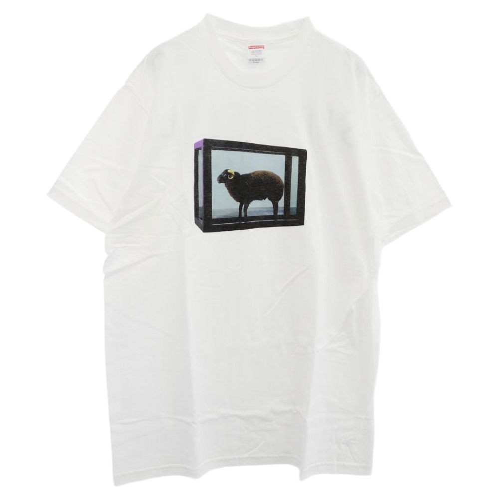 Supreme シュプリーム 25SS Damien Hirst Tee ダミアンハースト