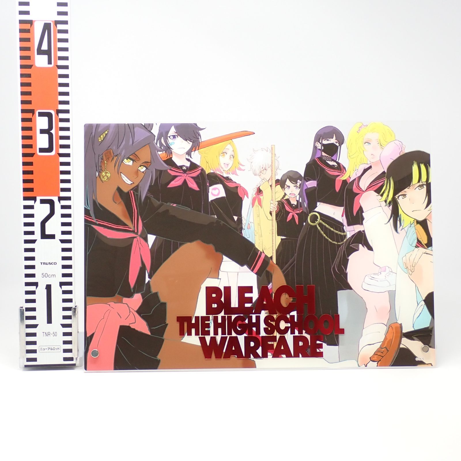 BLEACH アクリルプレート BLEACH WORLD 箔押しアクリルプレート 白砂女子ver. - メルカリ