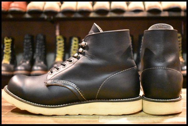 8165 アイリッシュセッター