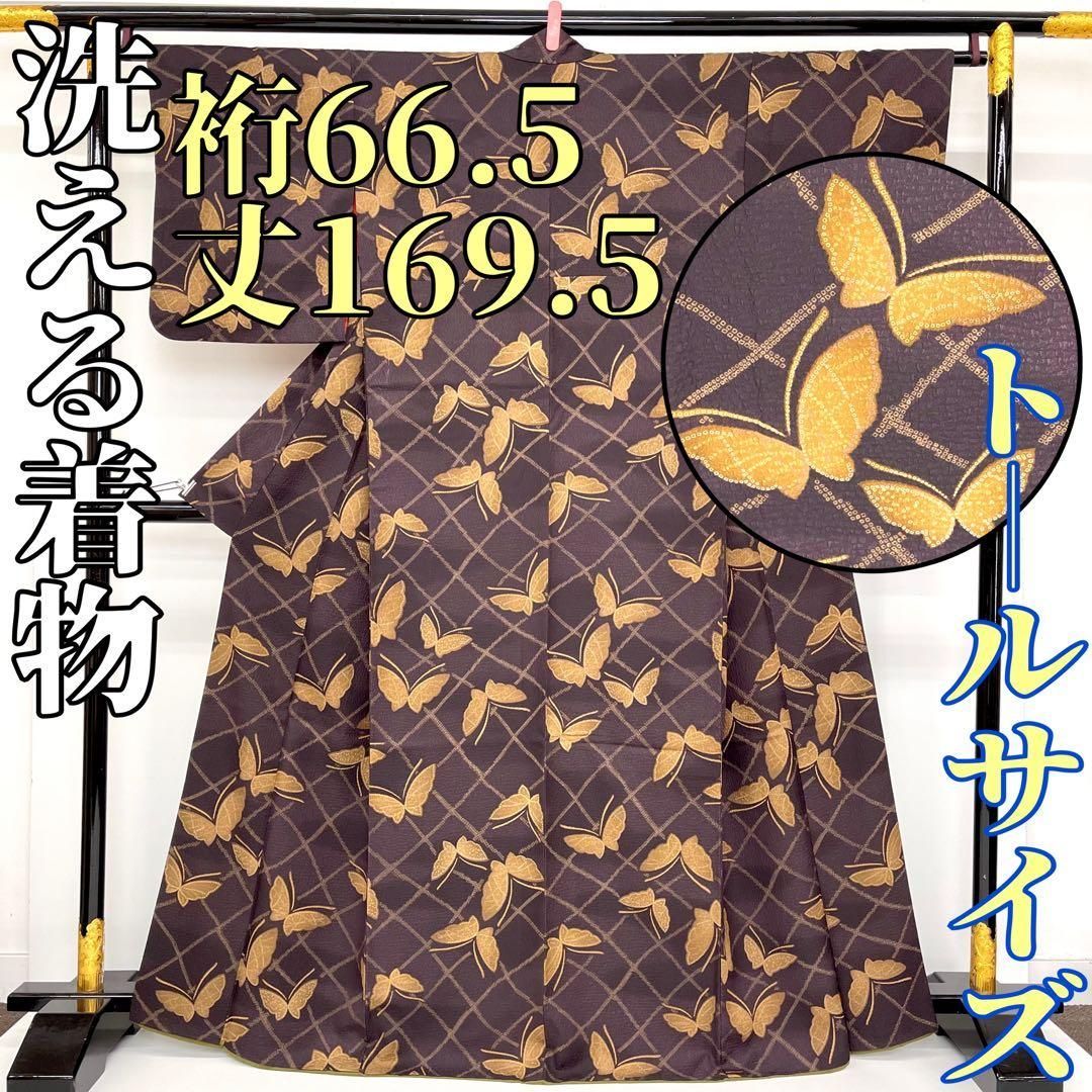 着物と帯 時流 ポ25141◆洗える着物 小紋◆ カラー胴裏 トールサイズ