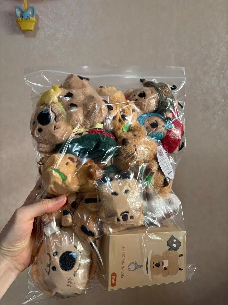 Dinotaeng ダイノテン キーホルダー まとめ ハイネック キーホルダー キーリング 