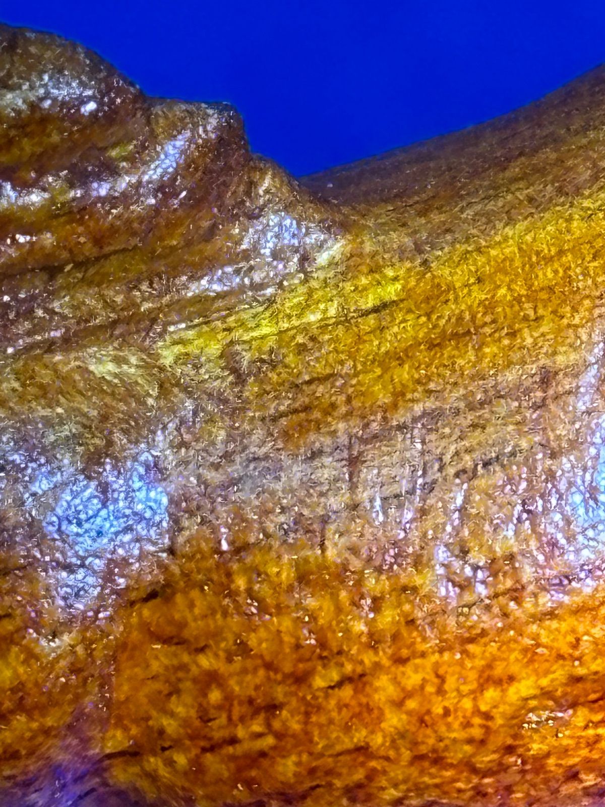 黄花梨 一馬当先 精雕ミニ置物 8mm馬年・オフィスに最適 5887-1/2