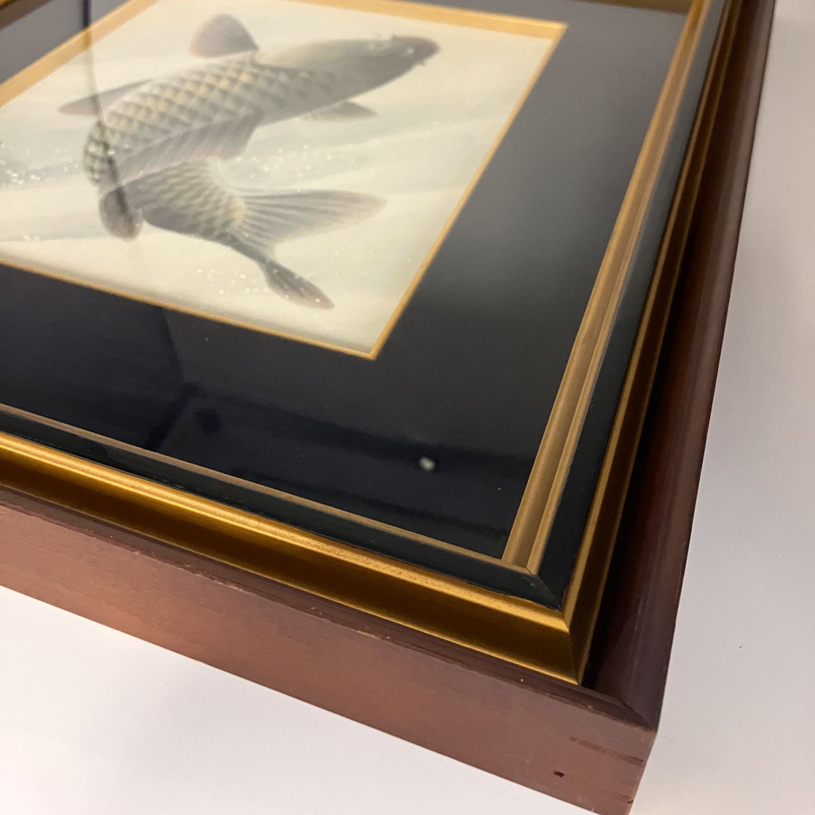 【鯉の掛け軸】 藤原茂富作 「飛躍の鯉」 日本画 藤原茂富作 色紙額 鯉 - メルカリ