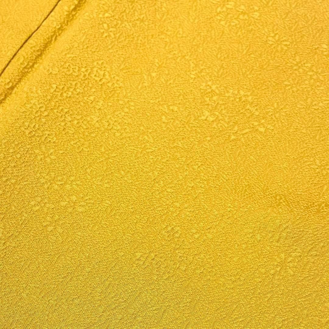 色無地◆大きいサイズ