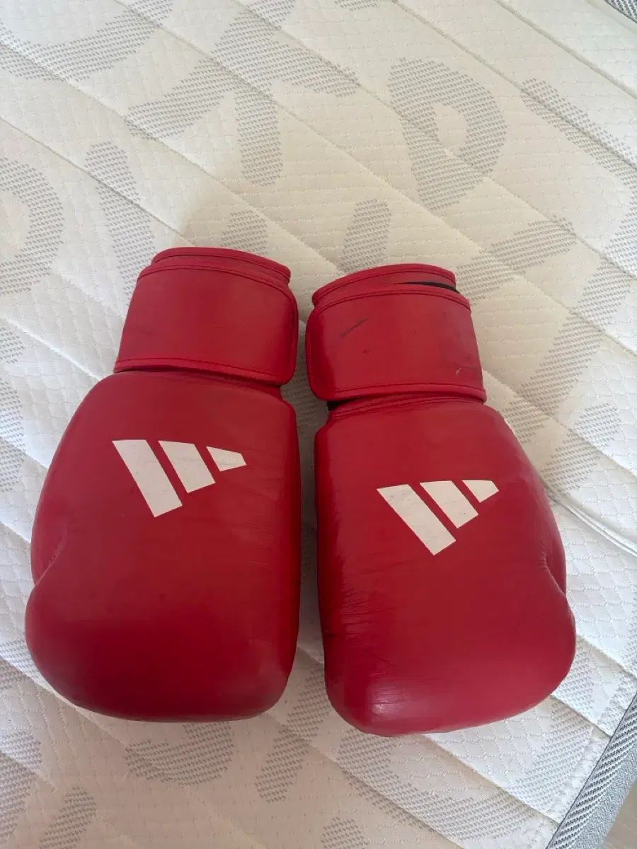 アディダス アイバ ボクシング グローブ 12 oz