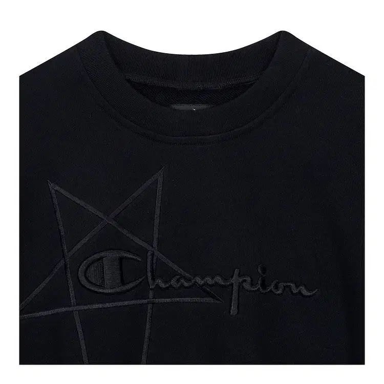 RICK OWENS リックオウエンス Champion(チャンピオン) 刺繍 ロゴ