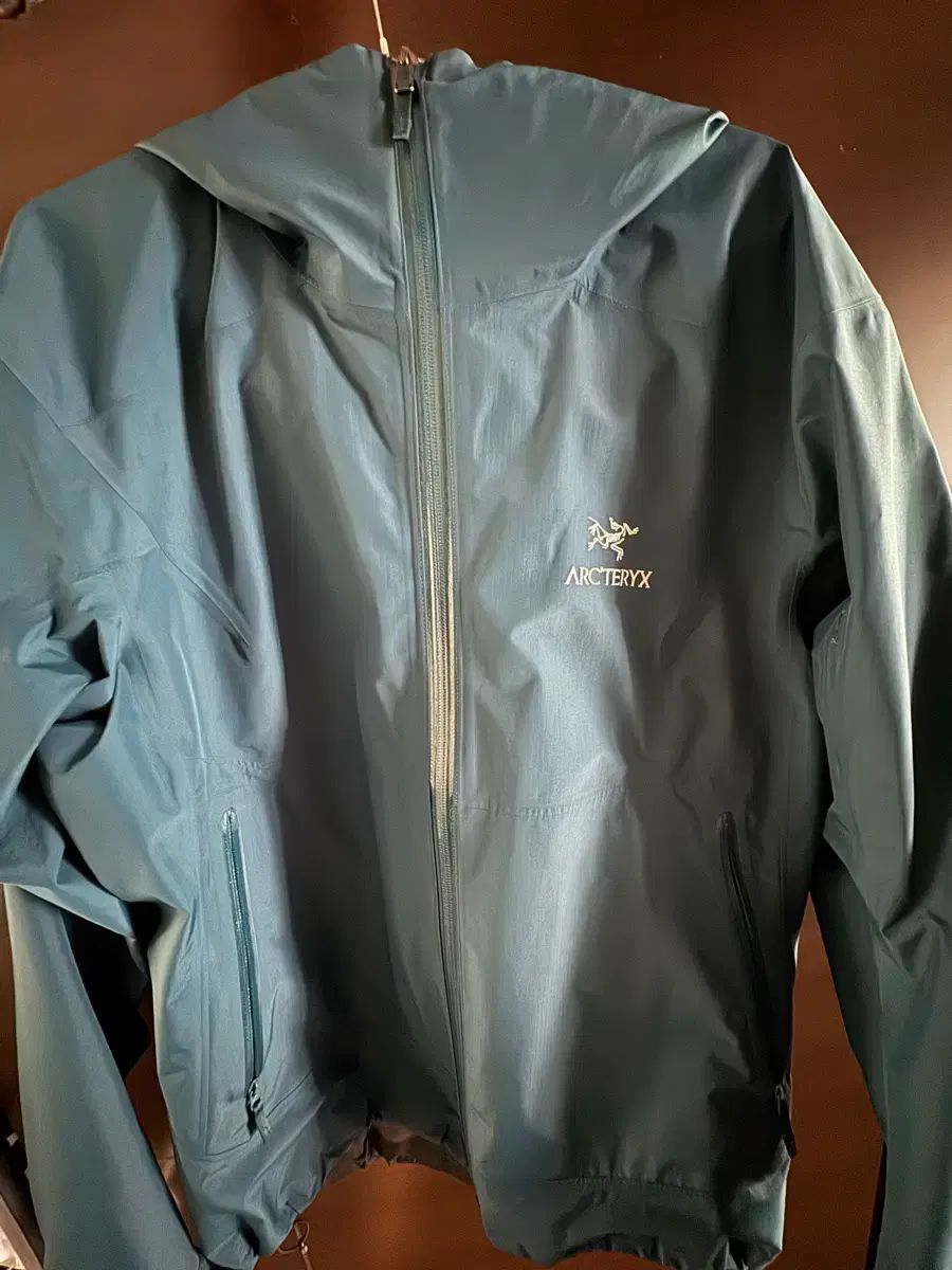 アークテリクス ZETA SL タイムラブス ウィメンズ XL