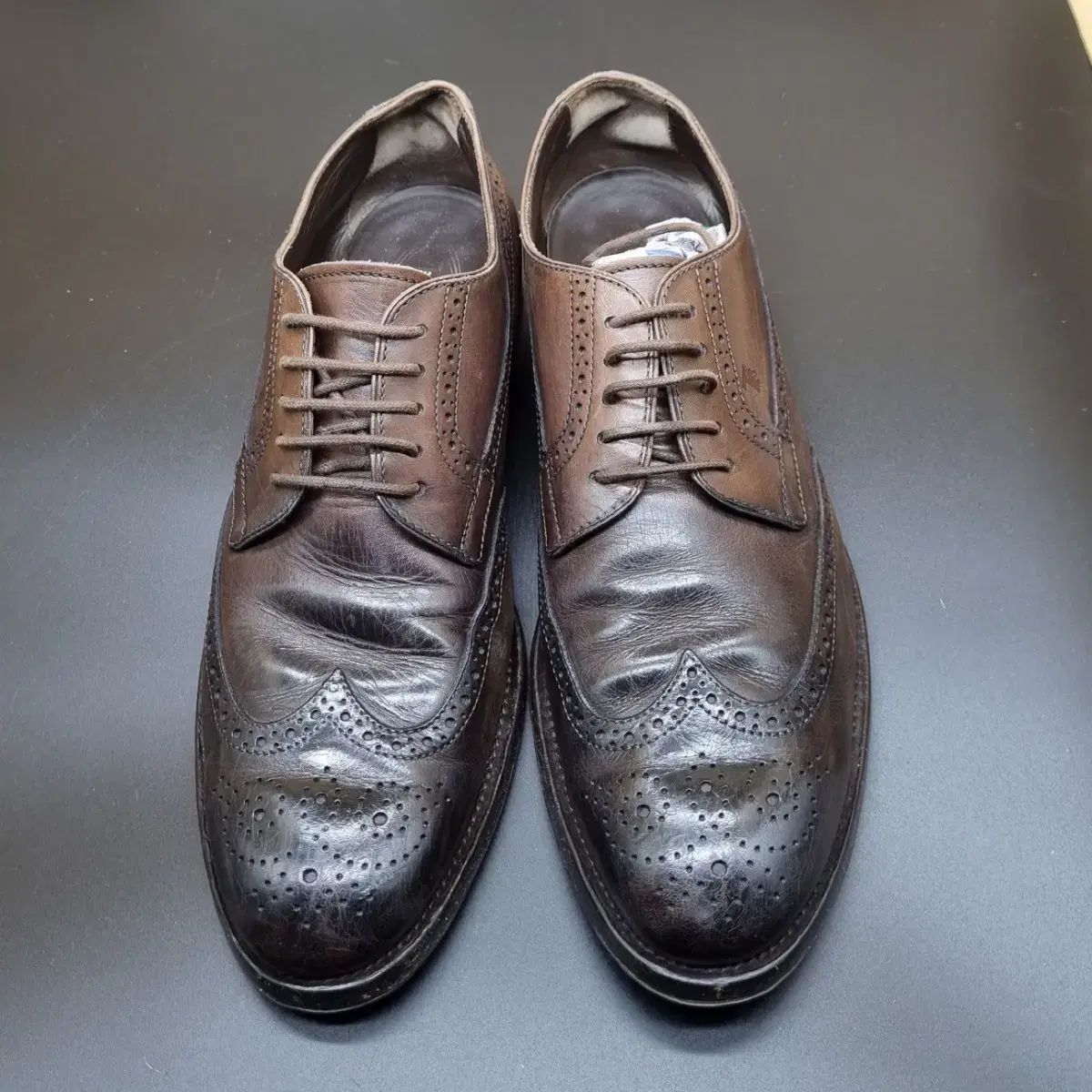 TOD S メンズ ウイングチップ靴 275