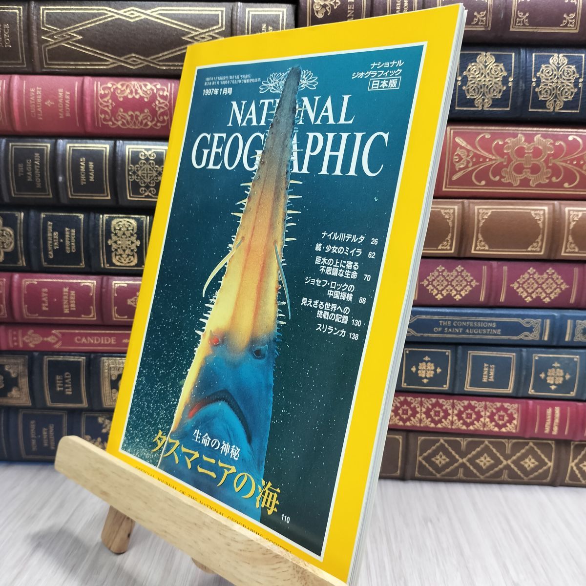 ナショナルジオグラフィック　日本版 2549944_n.jpg