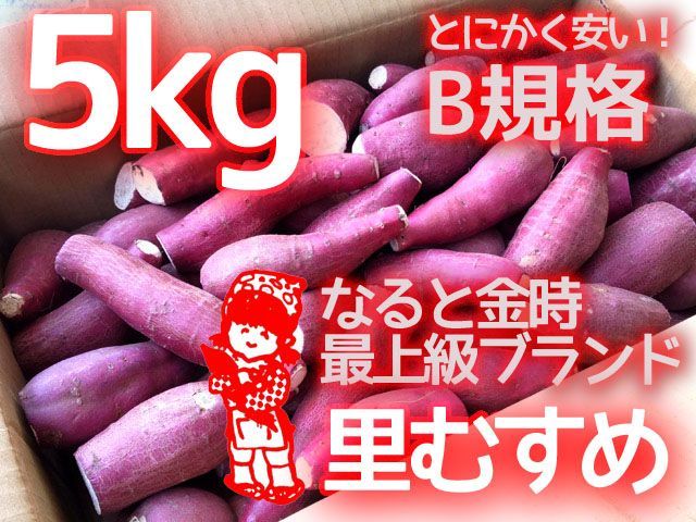 送料無料】徳島産 なると金時 里むすめ BS~2S 5kg - メルカリ