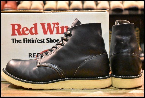 8165 アイリッシュセッター