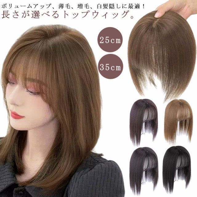 ウィッグ 部分ウィッグ 部分かつら かつら ウイッグ トップカバー