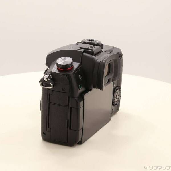 〔 品〕 LUMIX DC-GH 5 M 2 ボディ 262