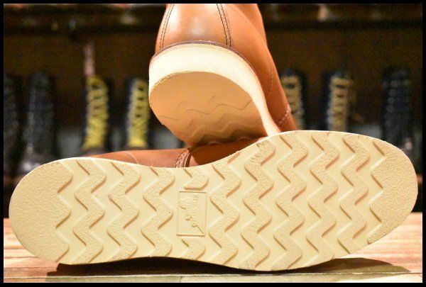 アイリッシュセッター