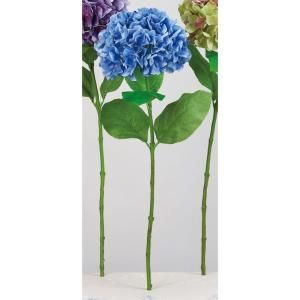 ASCA アスカ ハイドランジア A-34591-009 入数 12