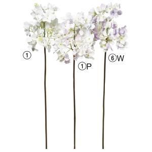 ASCA アスカ ハイドランジア A-34590-006 W 入数 24