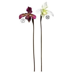 ASCA アスカ パフィオ A-34580-052 入数 12