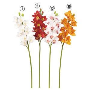 ASCA アスカ シンビジュームX 10 つぼみX 2 A-34607-030 入数 12