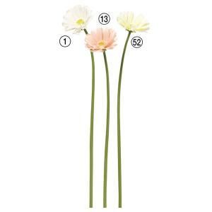 ASCA アスカ ガーベラ A-34598-052 入数 24