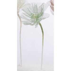 ASCA アスカ シフォンポピー A-34595-051 M 入数 24