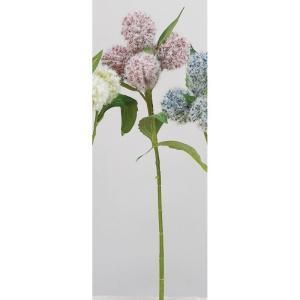 ASCA アスカ アザミX 5 A-34528-002 入数 36