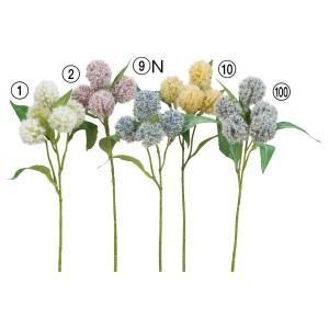 ASCA アスカ アザミX 5 A-34528-100 入数 36