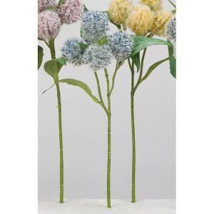 ASCA アスカ アザミX 5 A 34528 009 N 入数 36