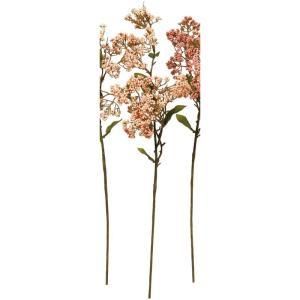 ASCA アスカ ベリースプレー A-47983-004 C 入数 12