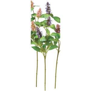 ASCA アスカ パチュリX 3 A-34537-007 入数 12