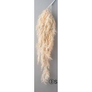 ASCA アスカ アスパラガスファーンハンギングブッシュ A-44131-003 S 入数 12