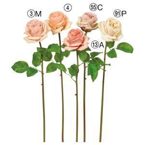 ASCA アスカ ローズ A-34514-091 P 入数 12