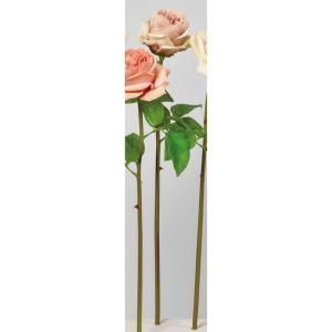 ASCA アスカ ローズ A-34514-055 C 入数 12