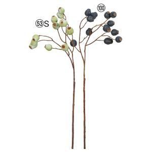 ASCA アスカ ベリースプレー A-47984-100 入数 12