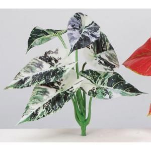 ASCA アスカ カラジュームピック A-44159-001 B 入数 24