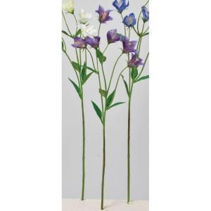 ASCA アスカ キキョウX 6 A-34559-006 入数 24