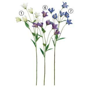 ASCA アスカ キキョウX 6 A-34559-007 入数 24