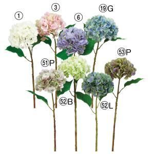 ASCA アスカ ハイドランジア A-34547-053 P 入数 12