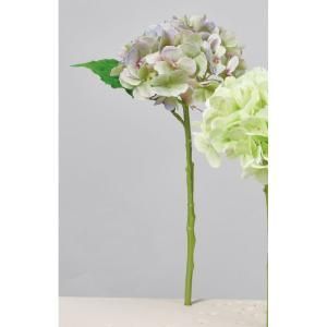 ASCA アスカ ハイドランジア A-34546-051 P 入数 24