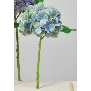 ASCA アスカ ハイドランジア A-34546-019 G 入数 24