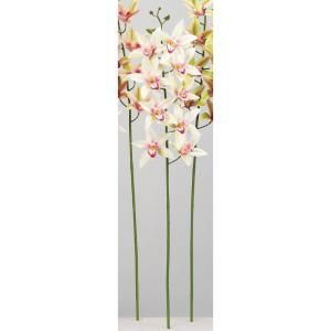 ASCA アスカ シンビジュームX 9 つぼみX 4 A-34544-020 K 入数 12 つぼみ付き スタンド花 